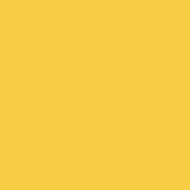 Reusche Jonquil Yellow Enamel Series Glass Paint