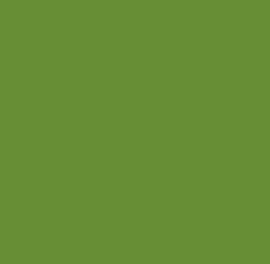 Reusche Empire Green Enamel Series Glass Paint