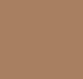 Reusche Red Brown Enamel Series Glass Paint
