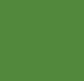 Reusche Brilliant Green Hot Glass Series Glass Paint