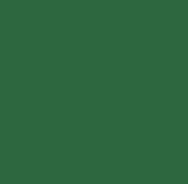 Reusche Grass Green Hot Glass Series Glass Paint