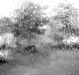 Spectrum Textured - Clear Rainwater