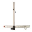 linear scoring module