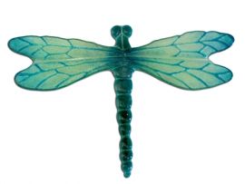 dragonfly casting1