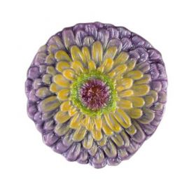 Zinnia 1