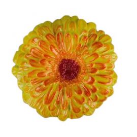 Zinnia 2