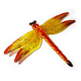 Large dragonfly 1