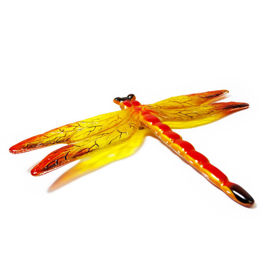 Large dragonfly 2