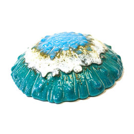 Mushroom cap 1