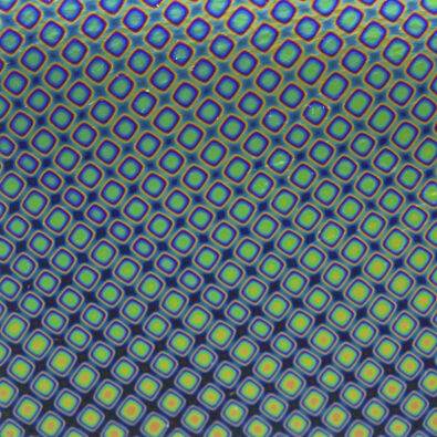 Rainbow Squares 2 on Black - Oceanside 96 Dichroic