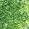 Moss Green Transparent - System 96 Frit