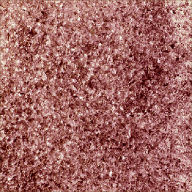 Light Purple Frit - Transparent  COE96