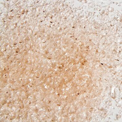 Pink Champagne Frit - Transparent  COE96