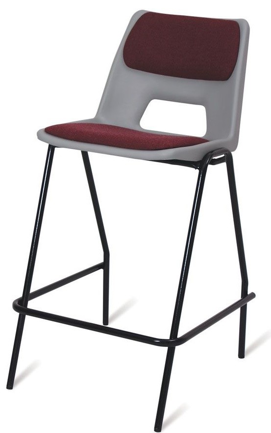 An image of PP1 Lab Stool with Seat & Back Pad