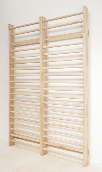 An image of Dynamo Wall Bars