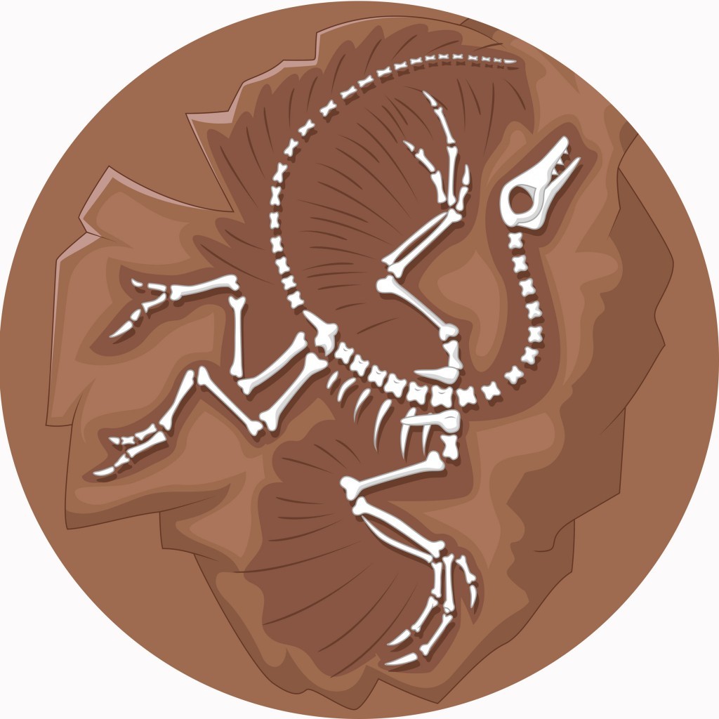 An image of Archaeopteryx Circular Mat