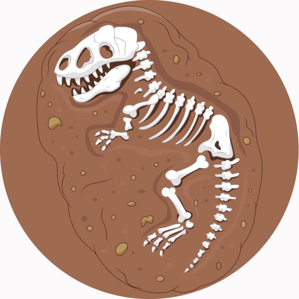 An image of T-Rex Circular Mat