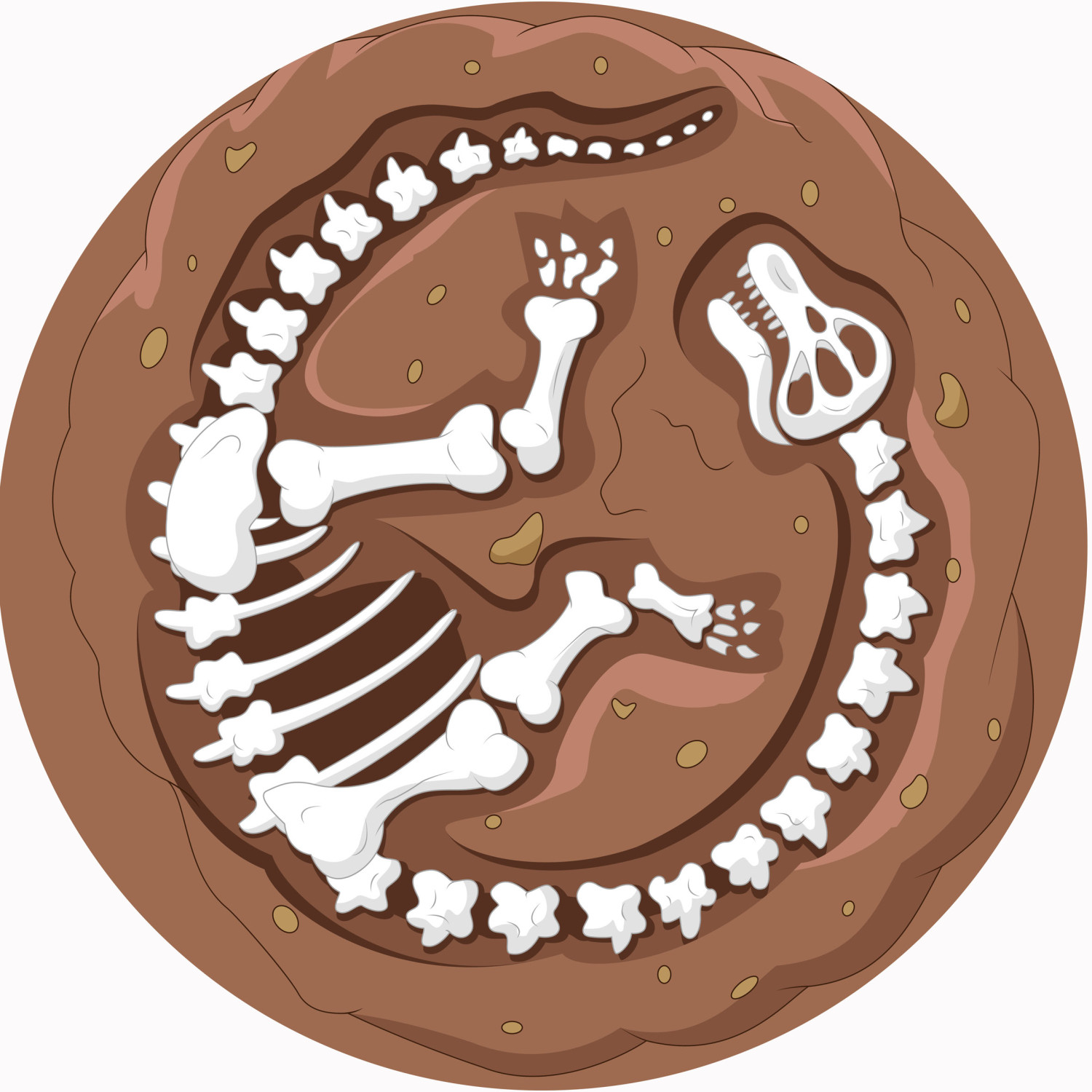 An image of Diplodocus Circular Mat