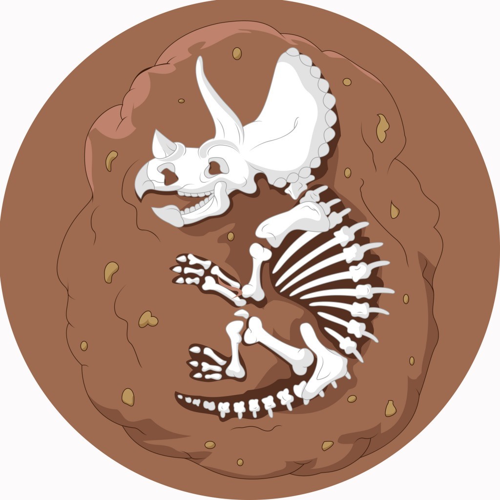 An image of Triceratops Circular Mat