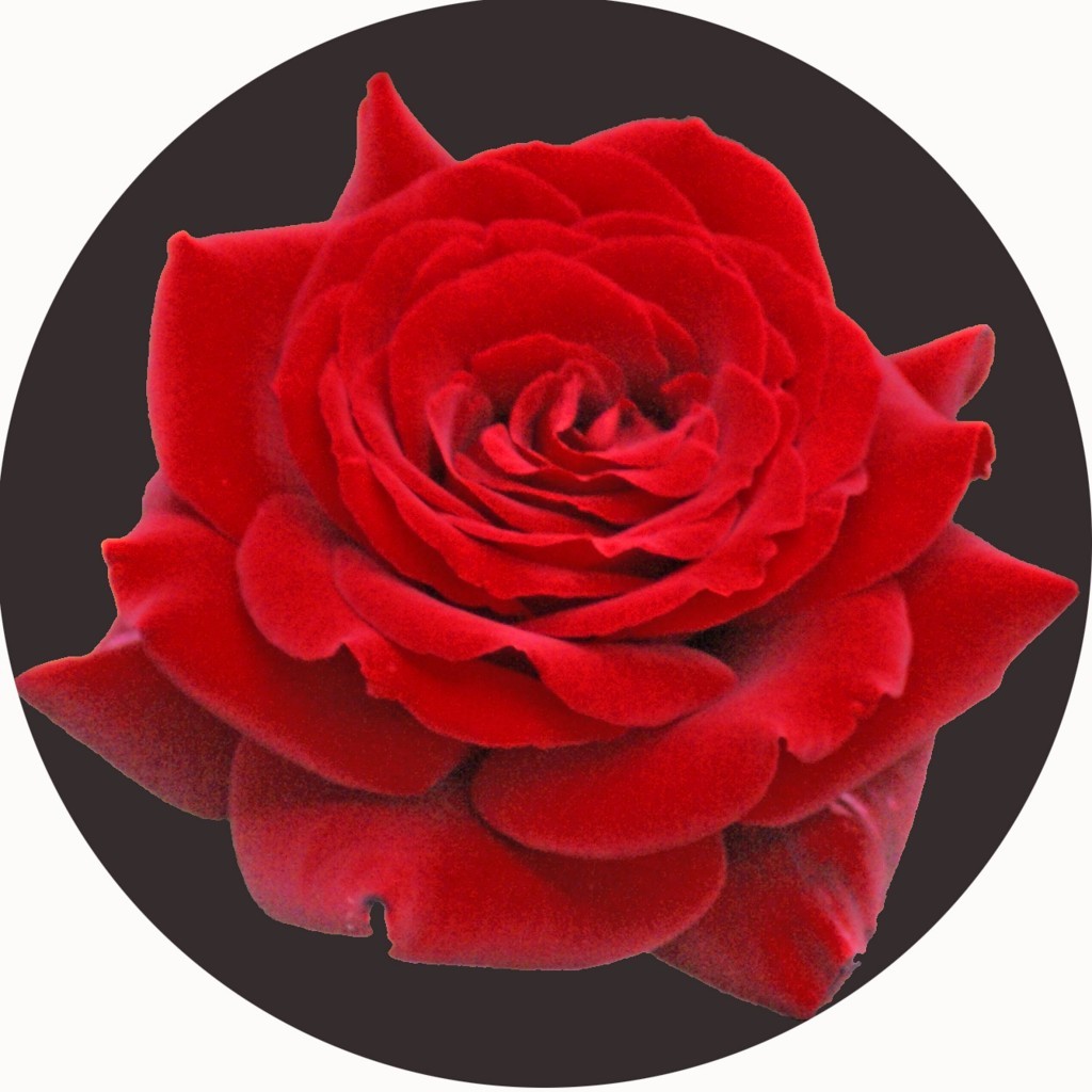 An image of Red Flower Circular Mat