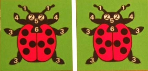 An image of Beetle Game