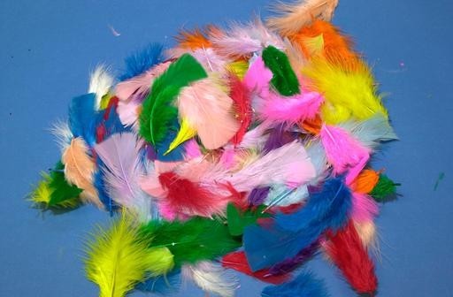 An image of Plumage & Duck Quill Feathers