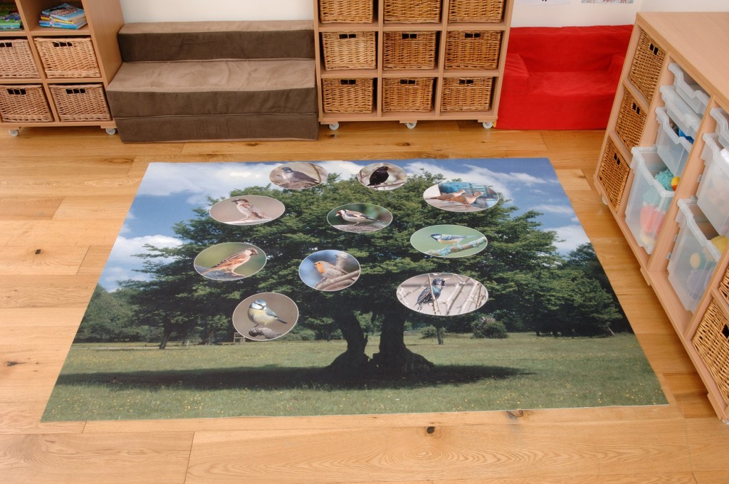 An image of British Birds Outdoor Playmat