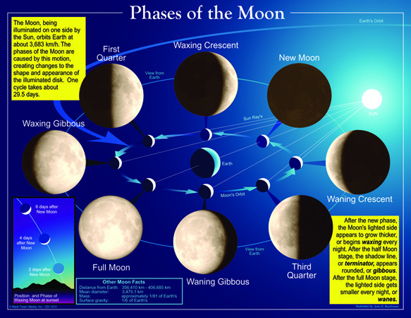 An image of Phases of the Moon Poster