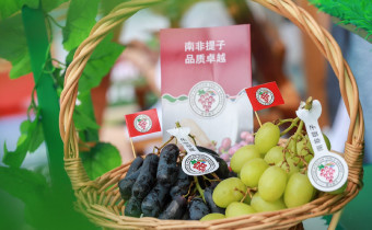 South Africa grape event China 2021 basket of grapes