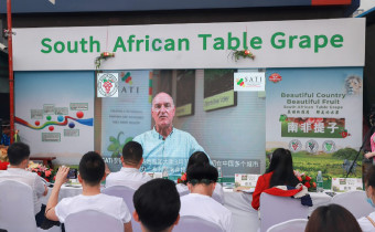 South Africa grape event China 2021 video wall