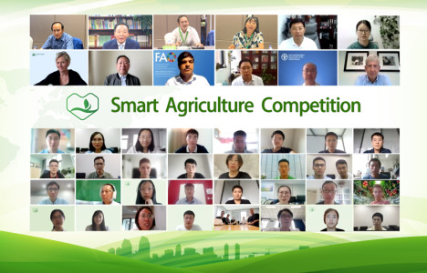 Pinduoduo Smart Agriculture Competition