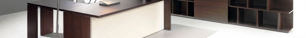 Lithos Executive Furniture for sale