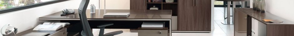 Maddox Executive Furniture for sale