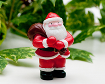 Christmas Cake Toppers