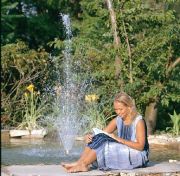 Medium Garden Pond