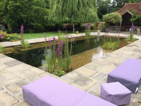 Formal Swimming Pond