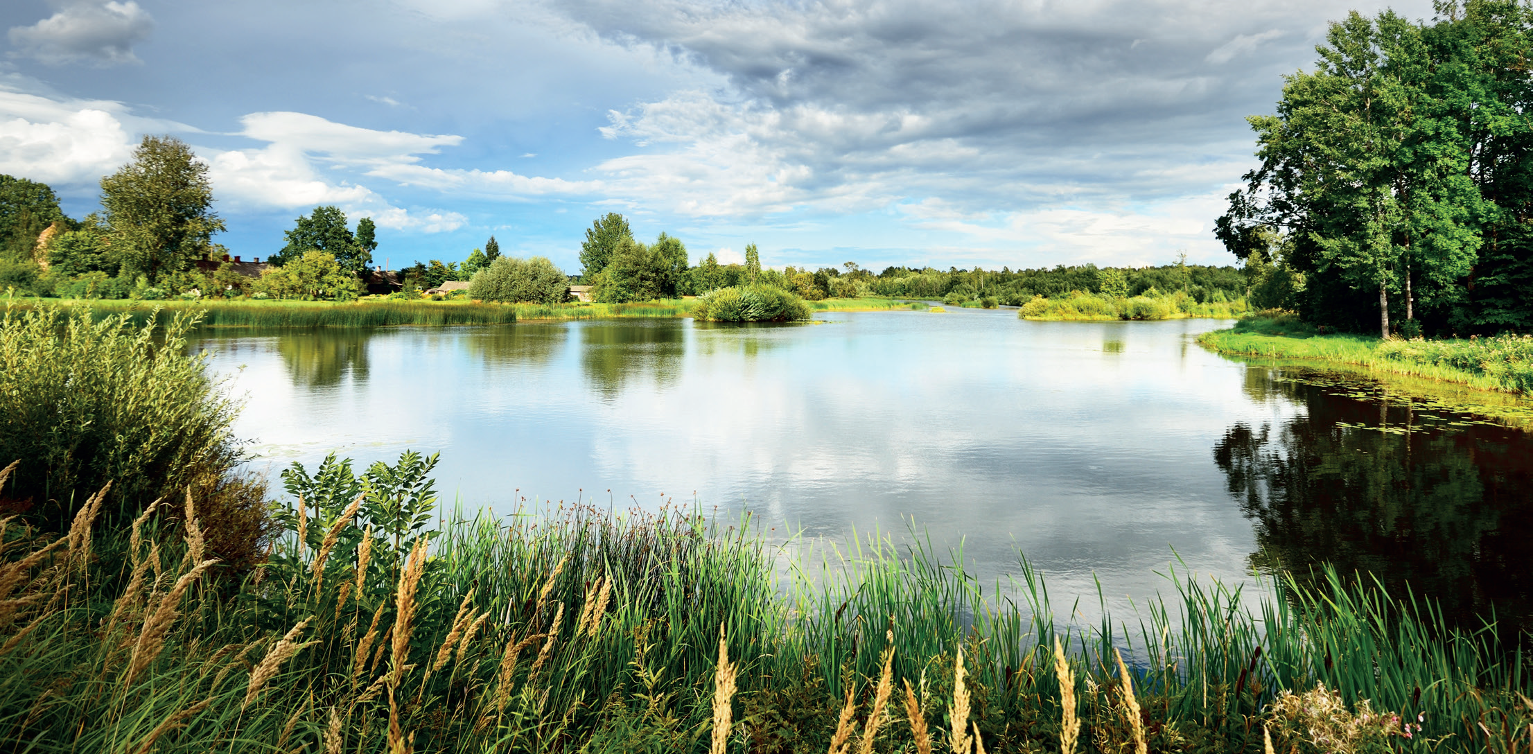 Lake Treatments 2