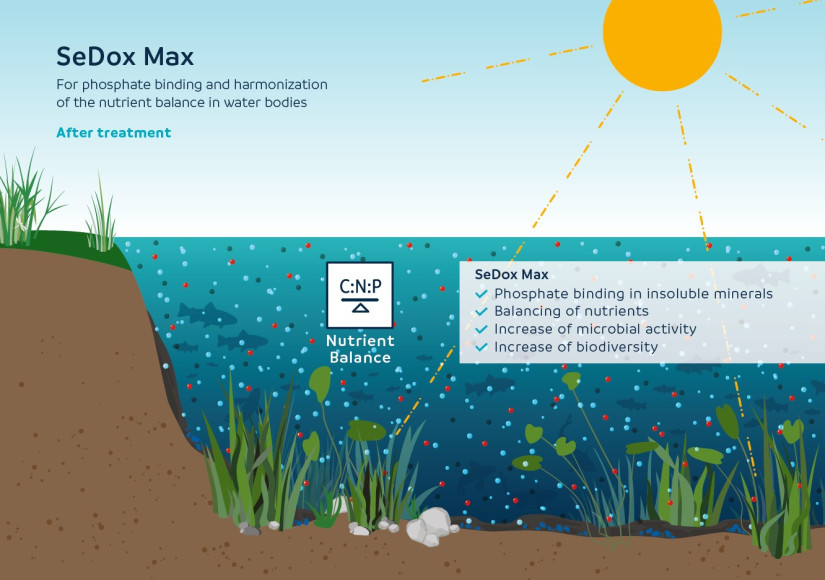 SeDox Max - after treatment