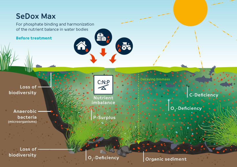 Sedox Max - before treatment
