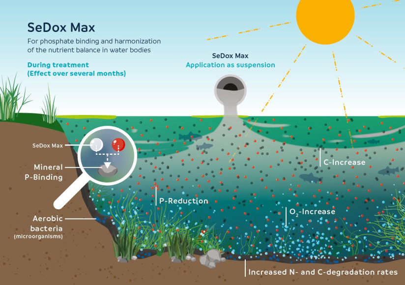 SeDox Max - during treatment