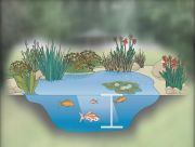 hloubka rybníka