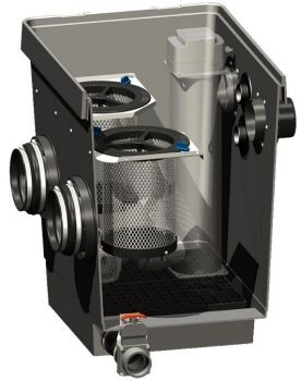 Individual Module