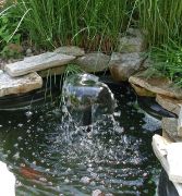 landscape fishpond