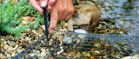 Blog | Water Garden Ltd - Product of the Week - Pond Cover Nets