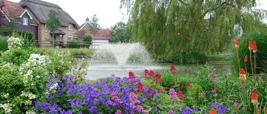 Blog Water Garden Ltd How Much Does A Pond Cost To Build