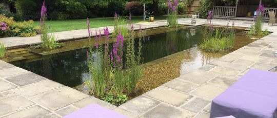 water pool garden