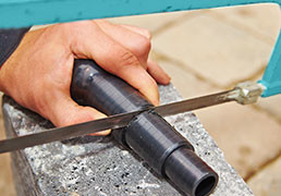 Hosetails