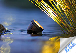 Special Offers - Pond & Garden Lights