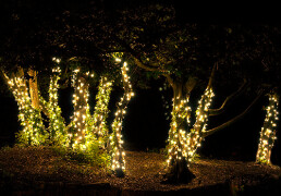 Solar Lighting Gift Ideas