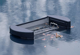 Lake Water Quality